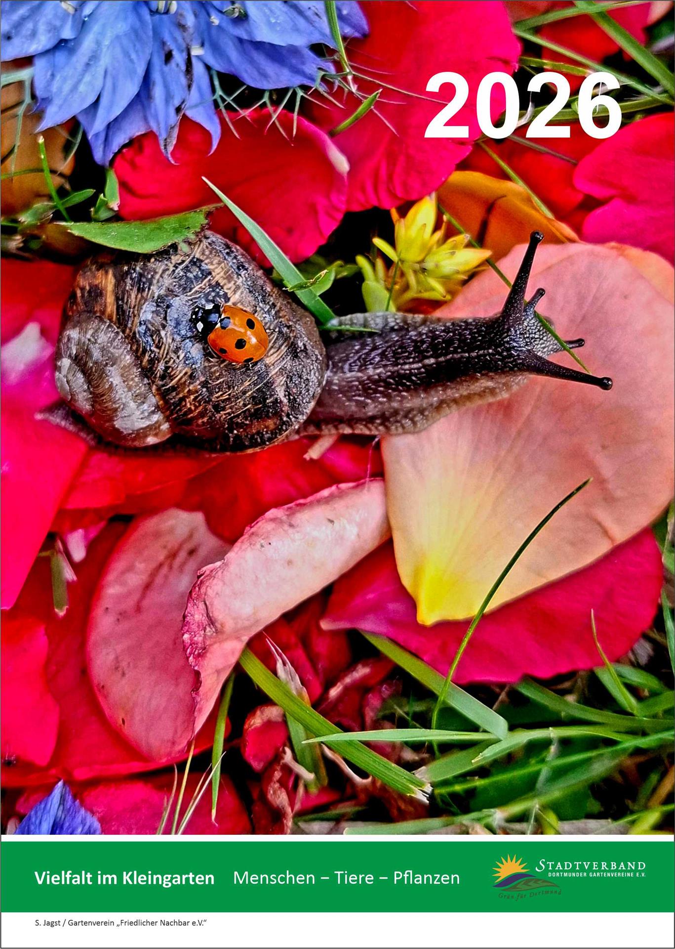 Fotowettbewerb für Kleingärtner*innen 2025 und Fotokalender 2026