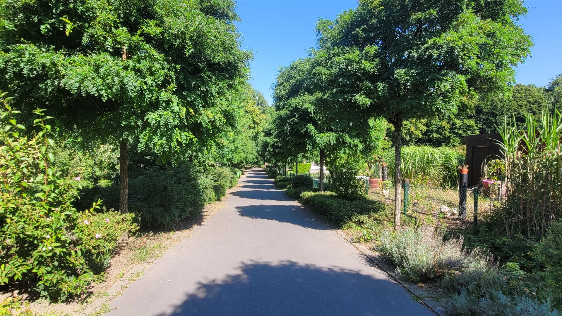 Eröffnung „Kleingarten-Wanderweg Nord“