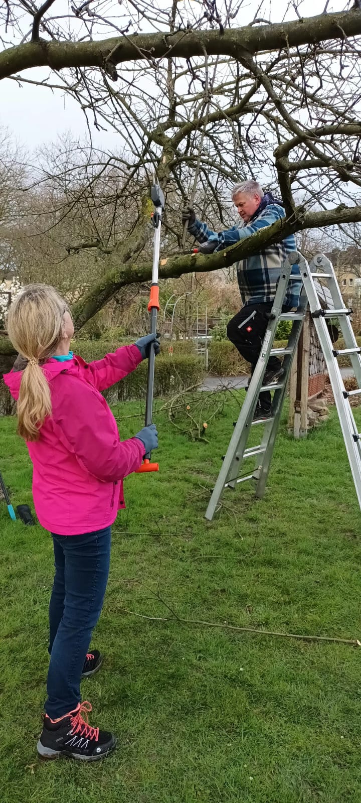 Winterobstbaumschnitt - Termin 4