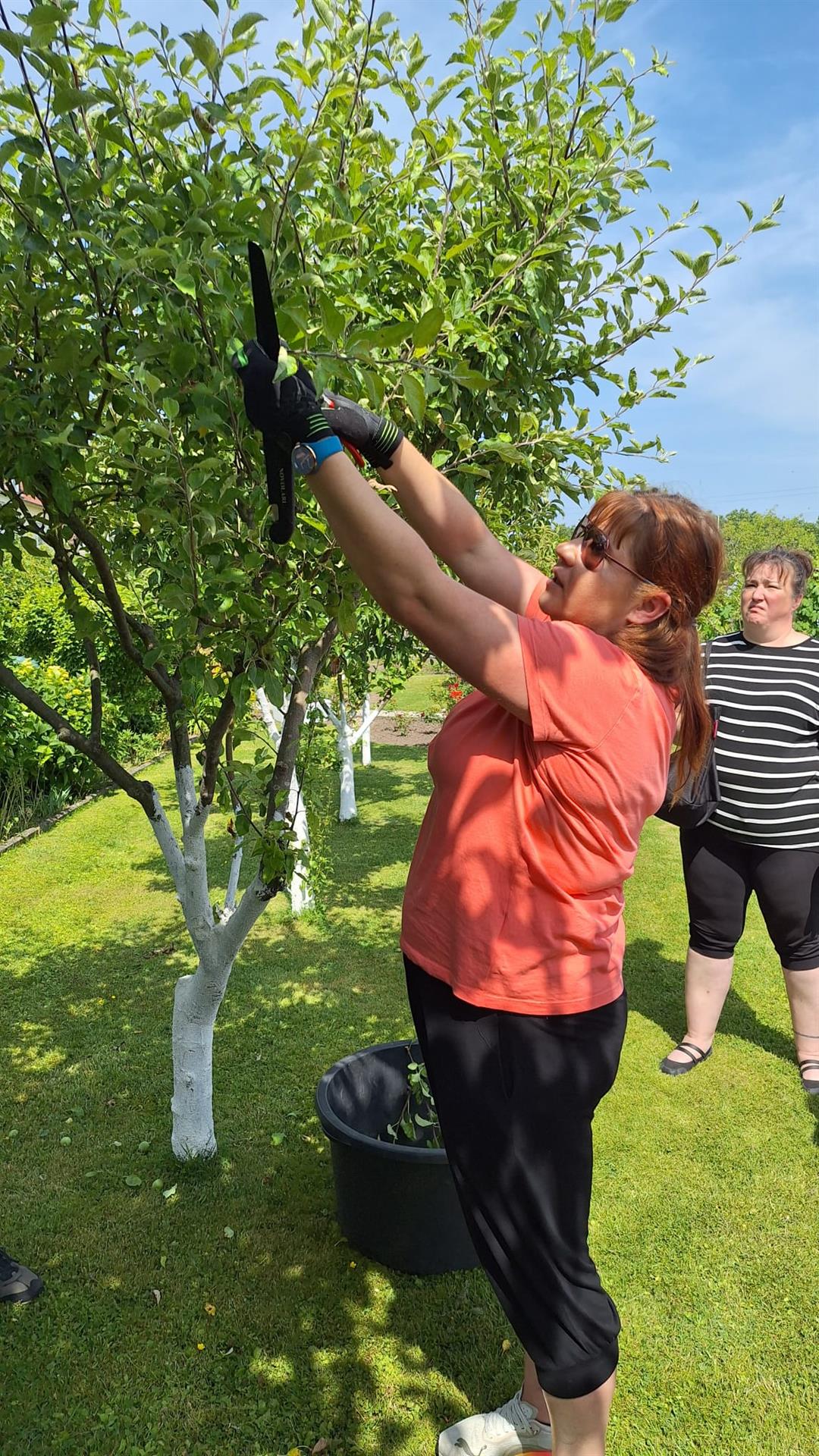 ACHTUNG!  - Änderung des Gartenvereins beim Sommer Obstbaumschnitt